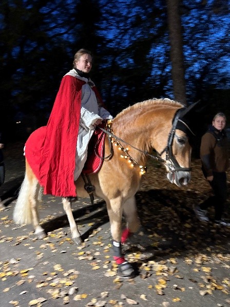 St. Martin an der Ricarda Huch